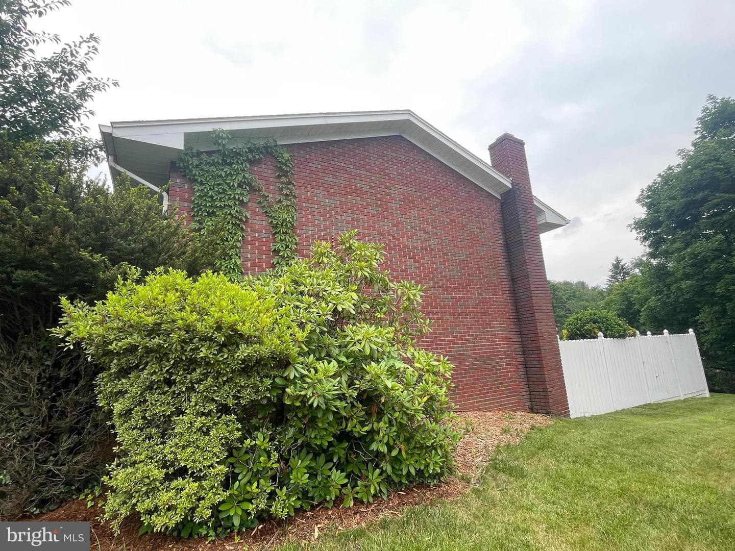 119 Wilmont Avenue photo 35