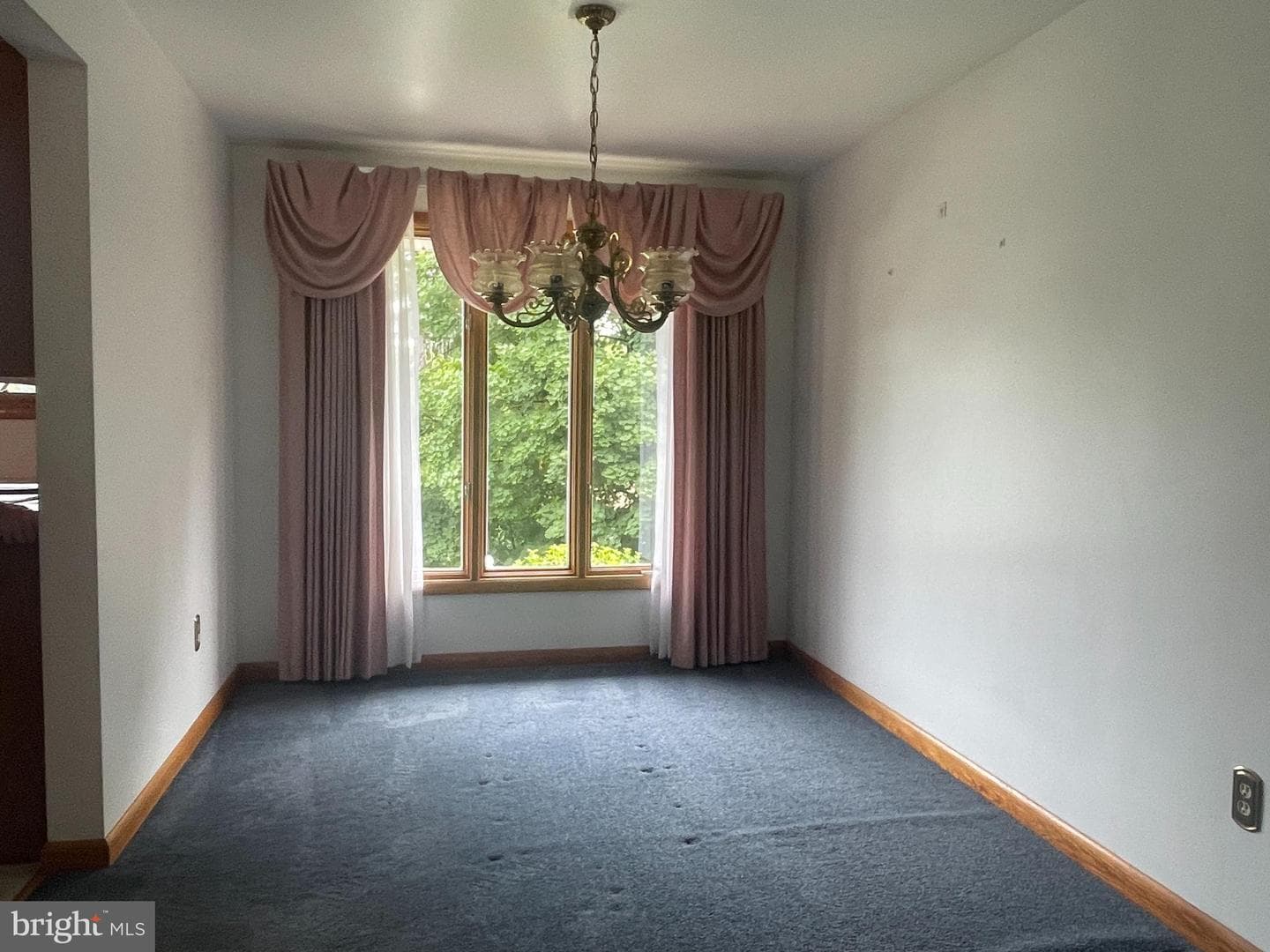 119 Wilmont Avenue photo 7