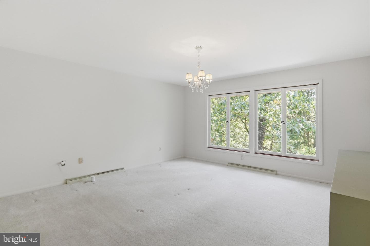 935 Dingle Park Drive photo 23
