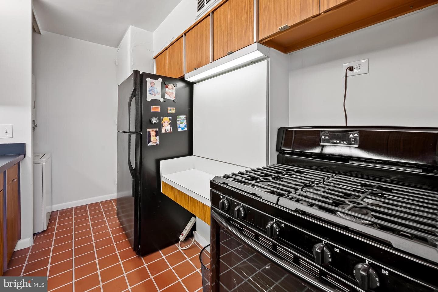 4000 N Charles Street N #1605 photo 22