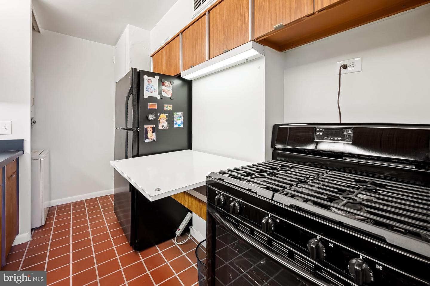 4000 N Charles Street N #1605 photo 23