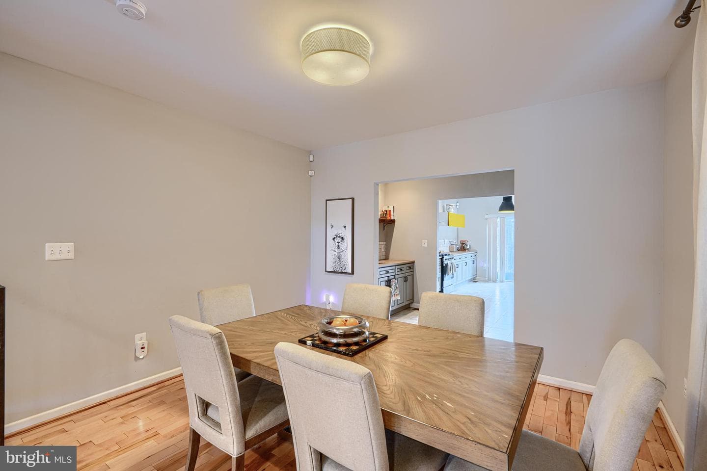 1711 Hollins Street photo 11