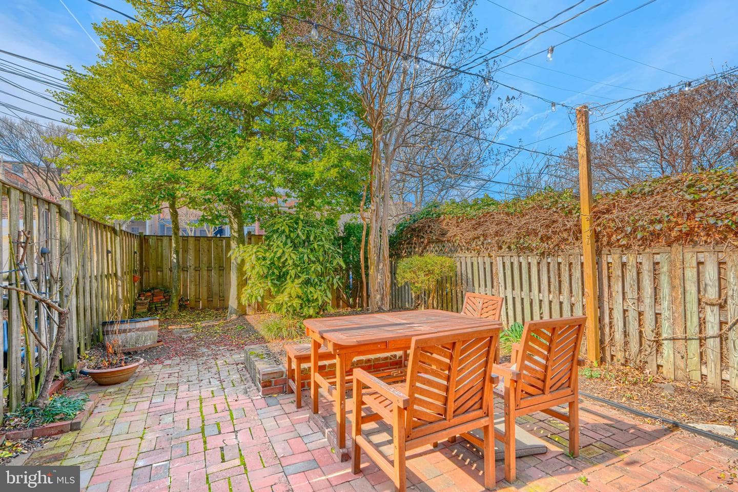 1418 Park photo 63