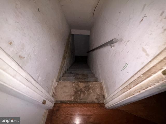 945 Ellicott Drive photo 15