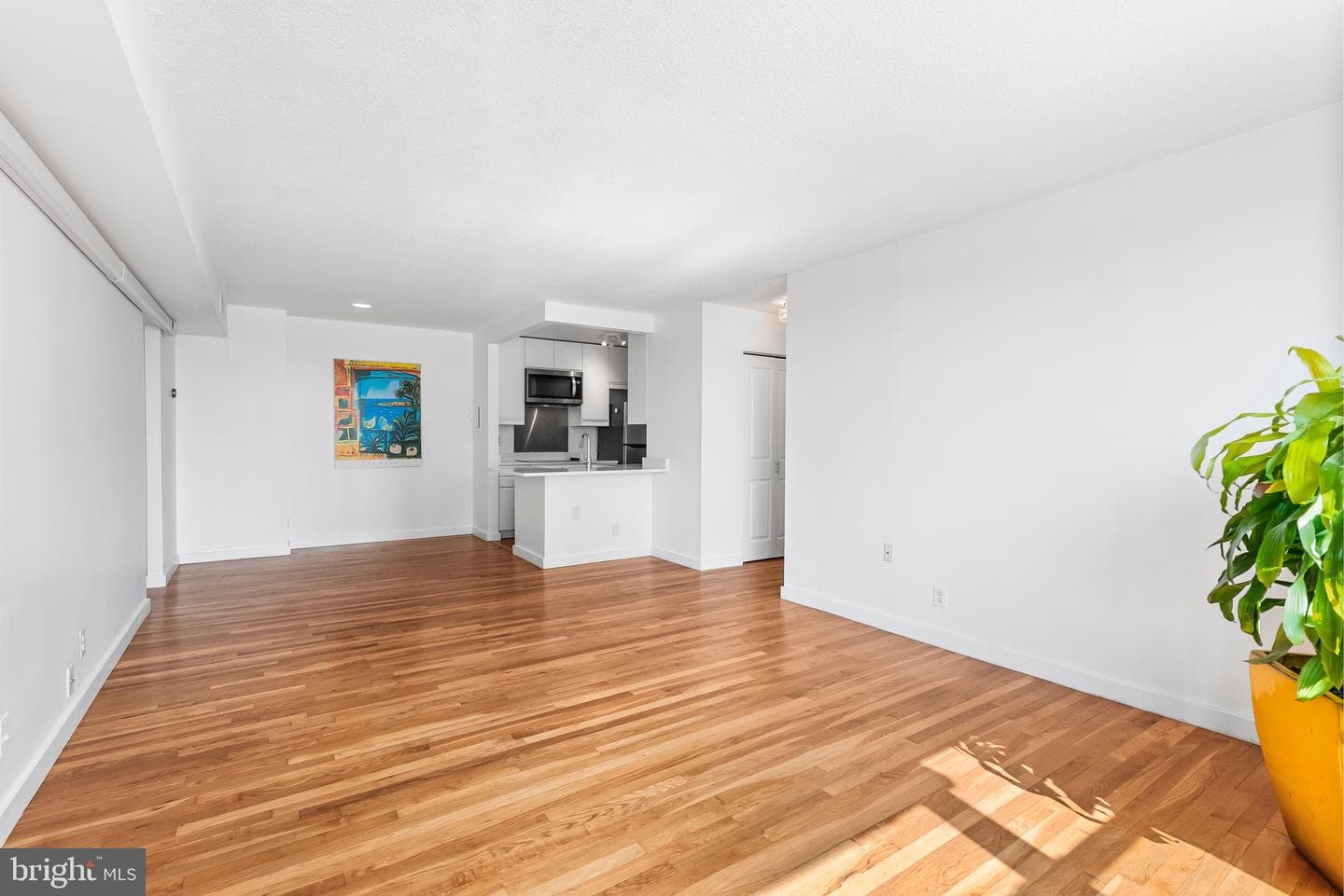 1101 Saint Paul Street #711 photo 6