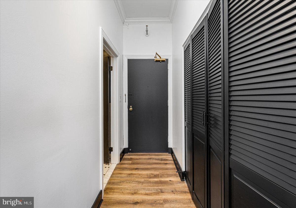 1 E Chase Street #1008 photo 13