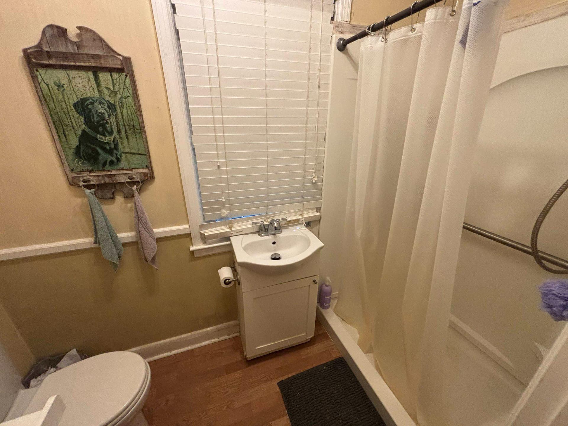 4602 Sunbrook Avenue photo 3