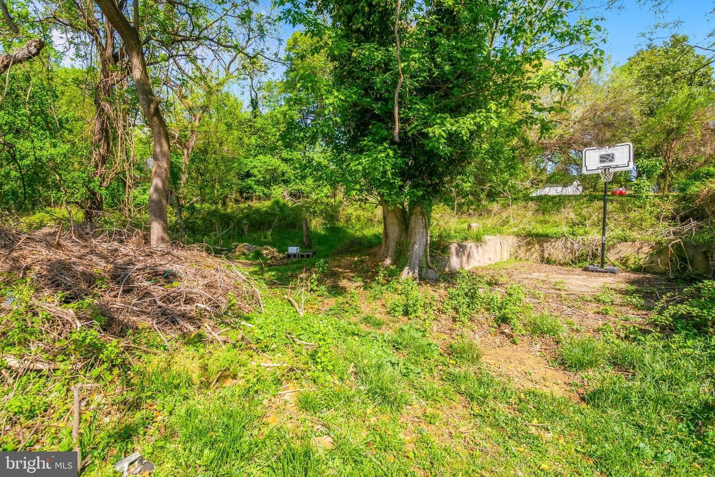 202 S Athol Avenue photo 33
