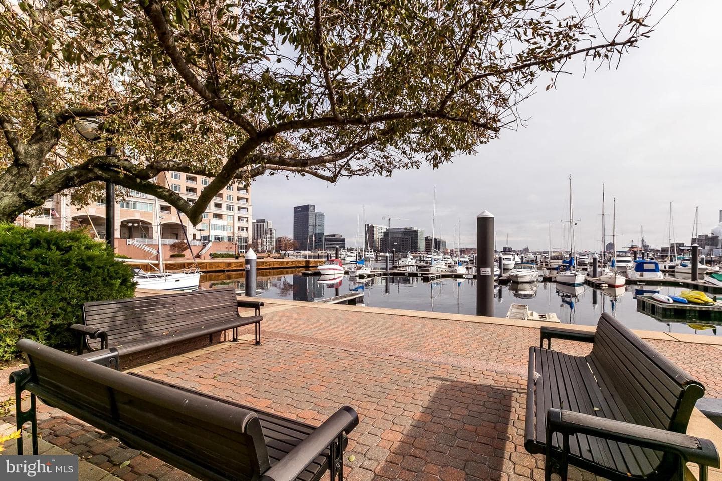 23 Pierside Drive #130 photo 41