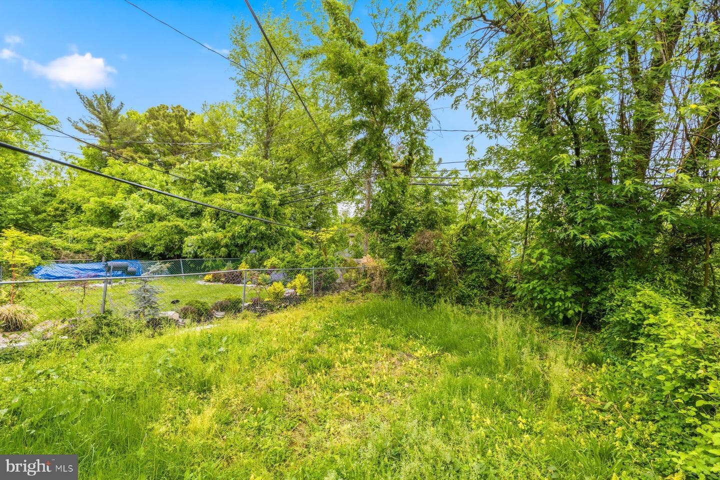 4222 Woodlea Avenue photo 23