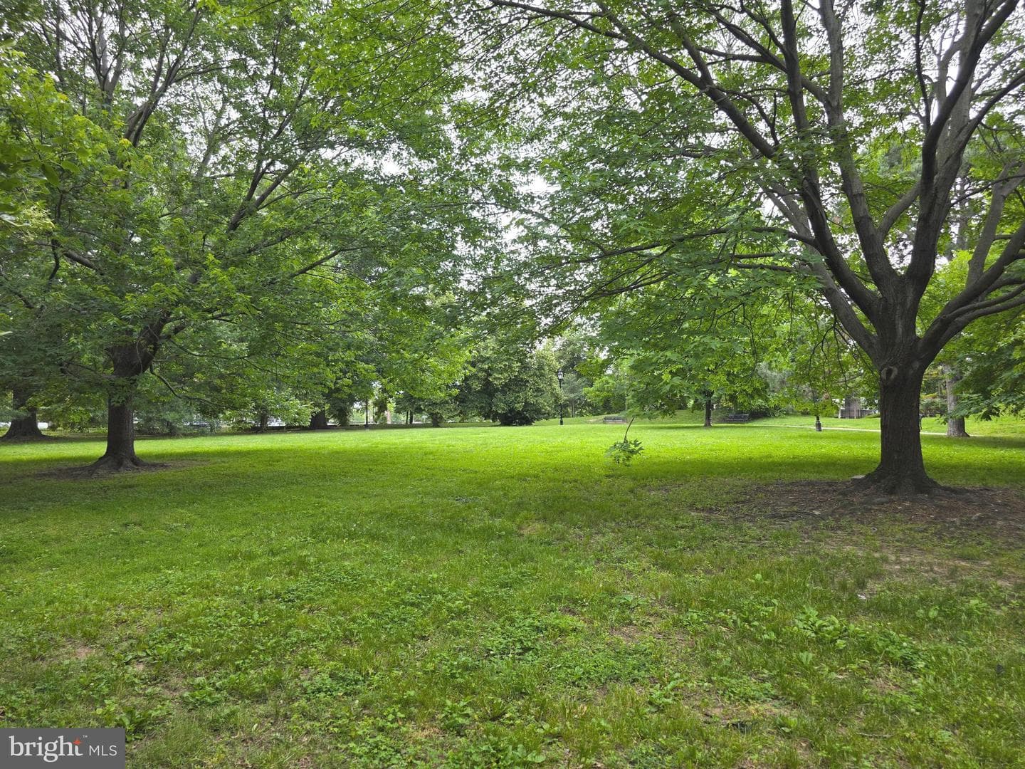 628 Warner Street photo 14