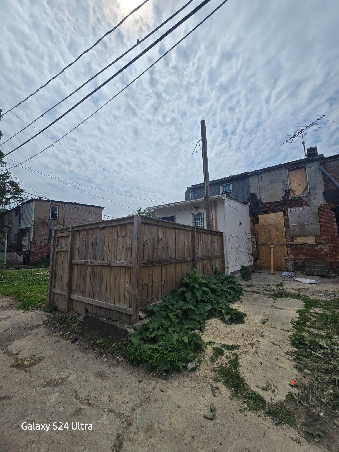 1828 Wilhelm Street photo 17