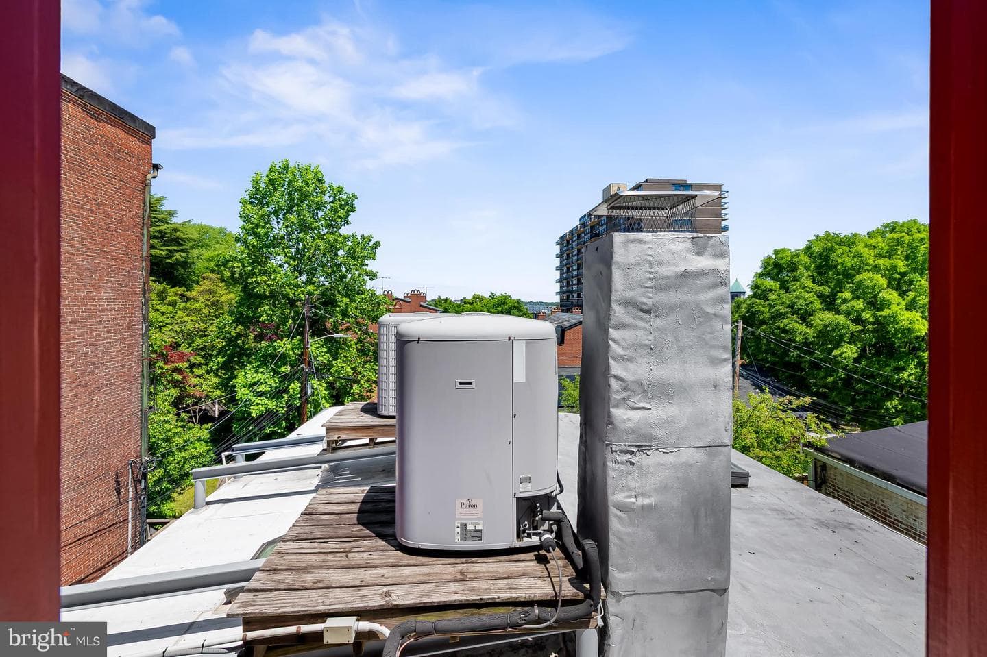 1211 Bolton Street photo 64