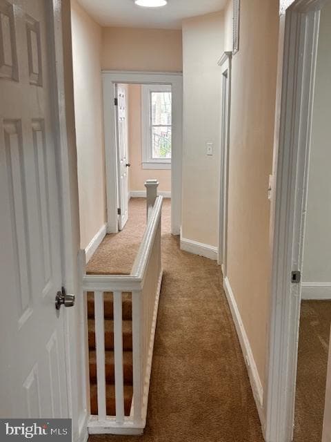 409 Poplar Grove Street photo 10
