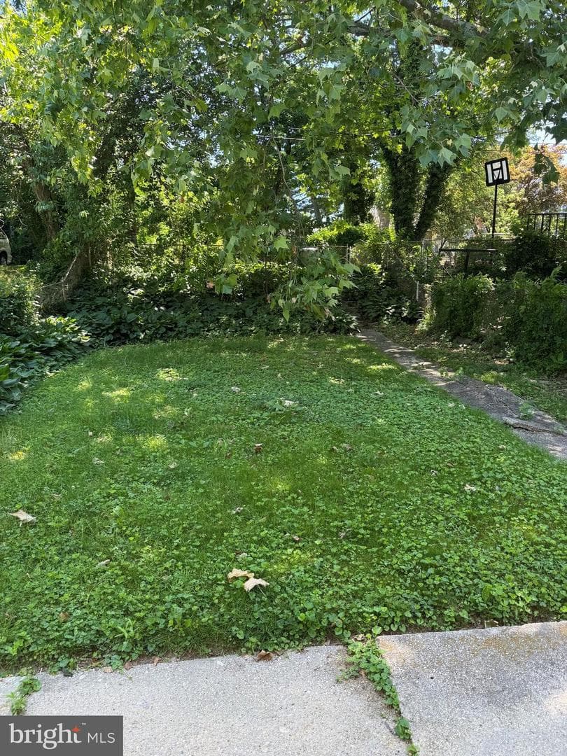 2119 Cloville Avenue photo 3