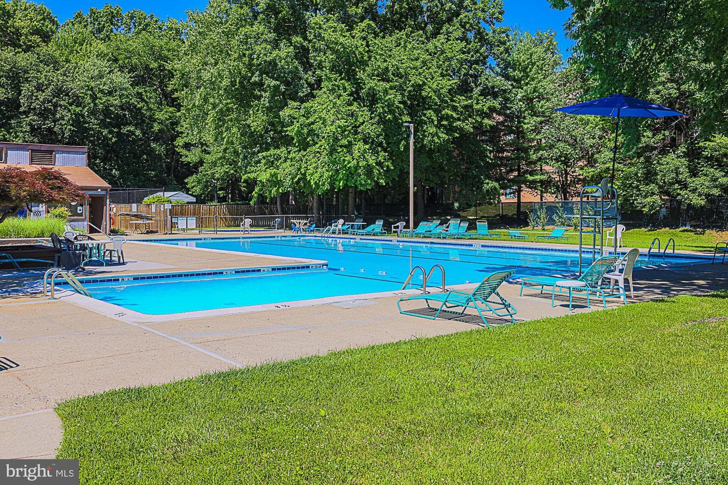 6300 Red Cedar Place #204 photo 23