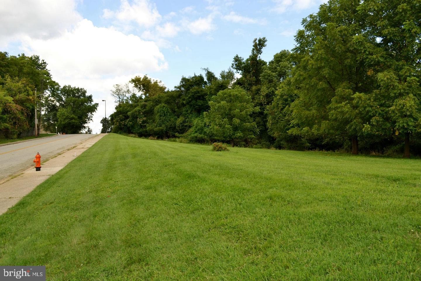 307 Font Hill Avenue photo 31