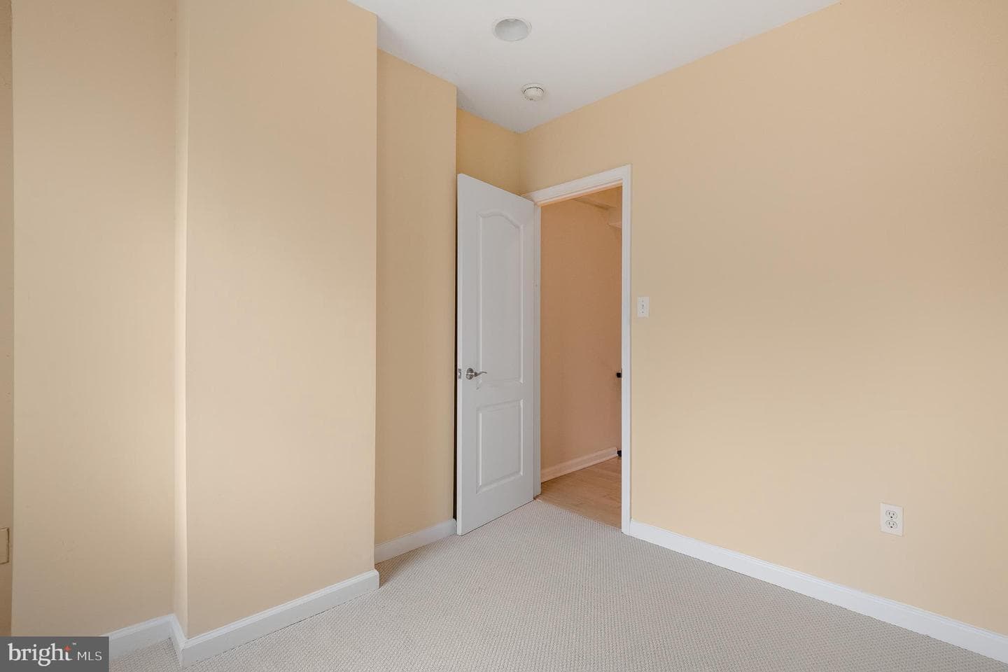 1123 W Lombard Street photo 19