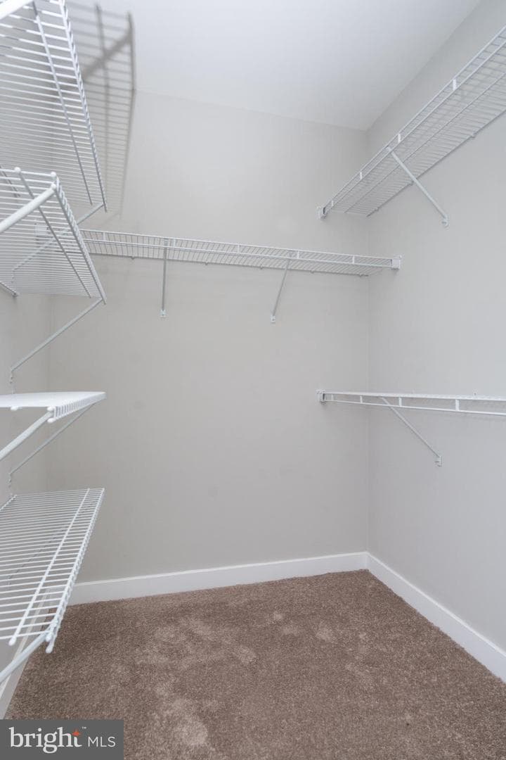 1404 Druid Hill Avenue photo 25