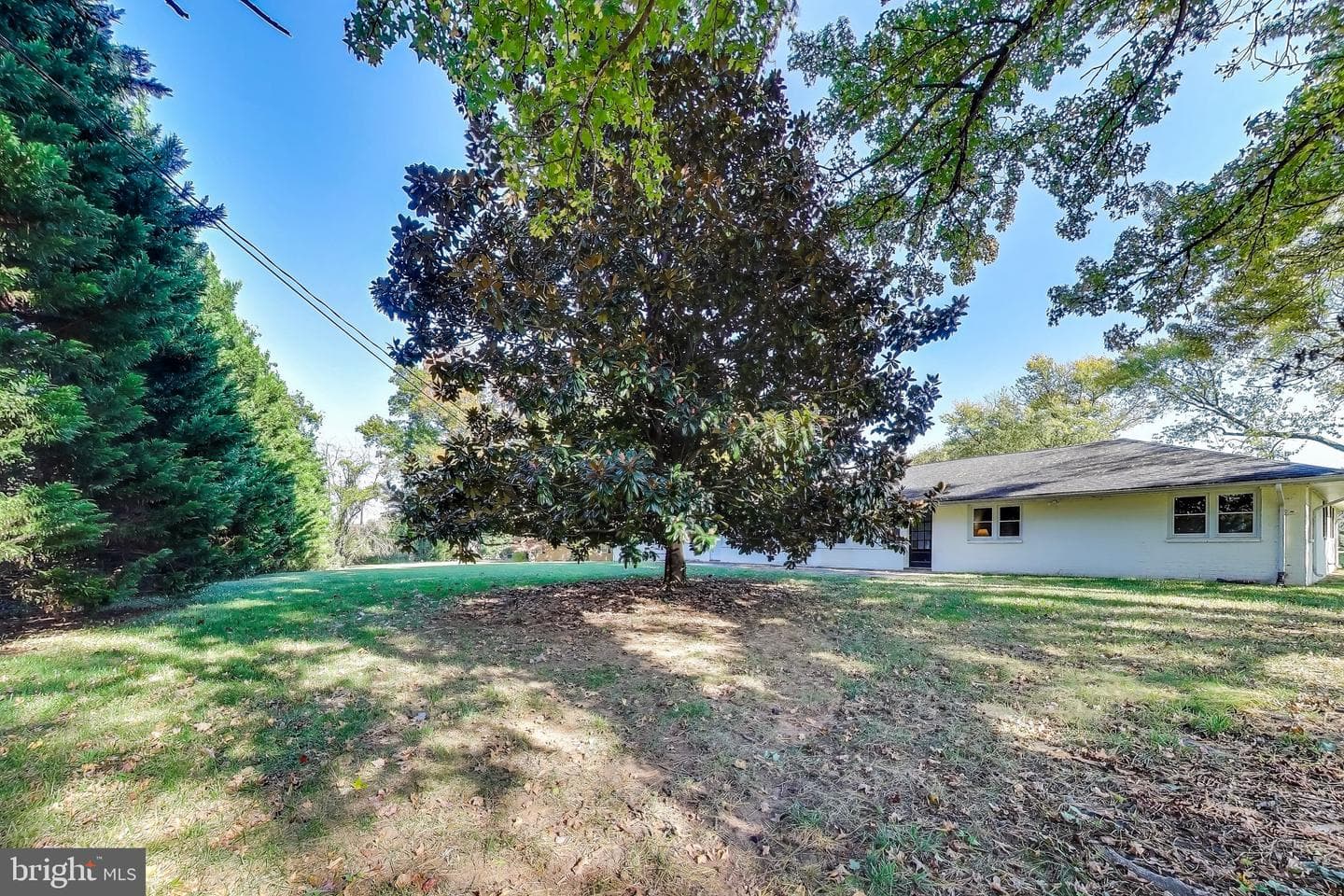 402 Ivy Church Road photo 57