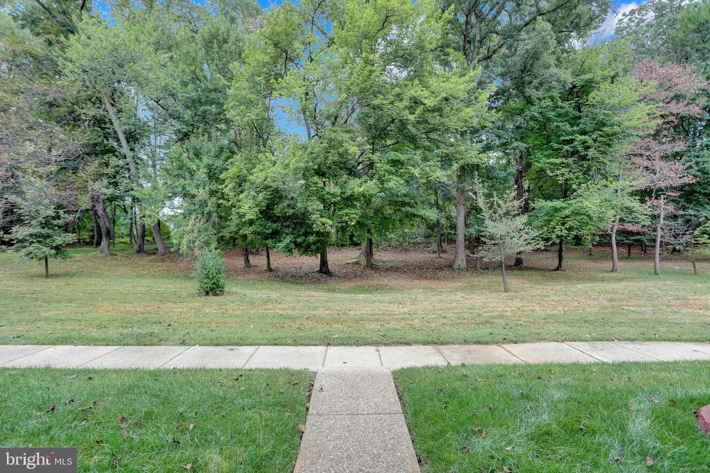 4264 Cayuga Road photo 5