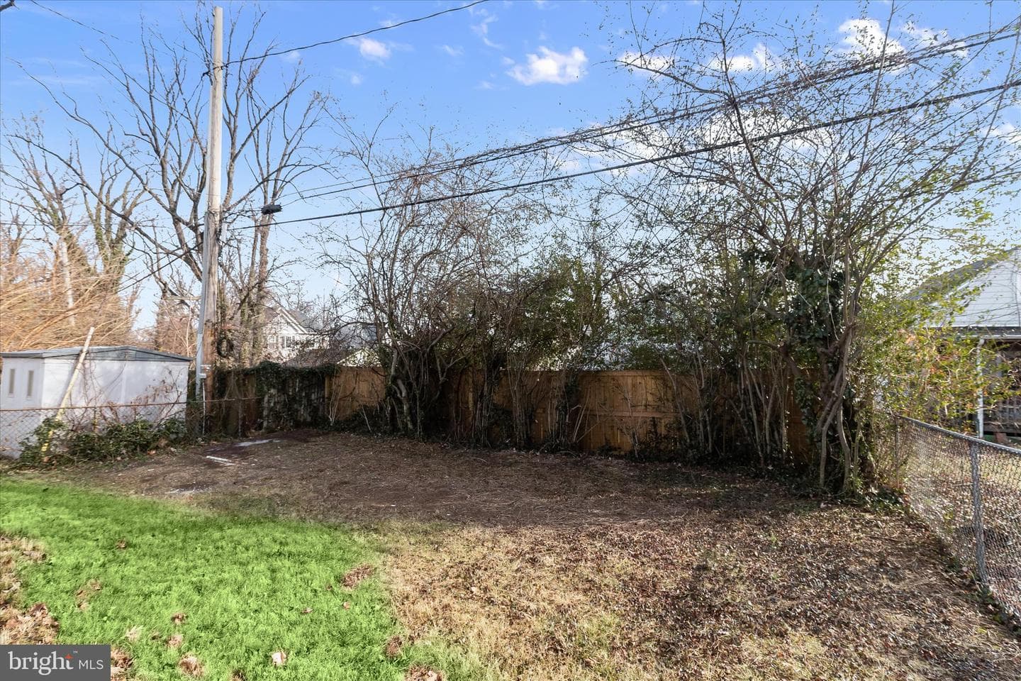 517 Winters Lane photo 37