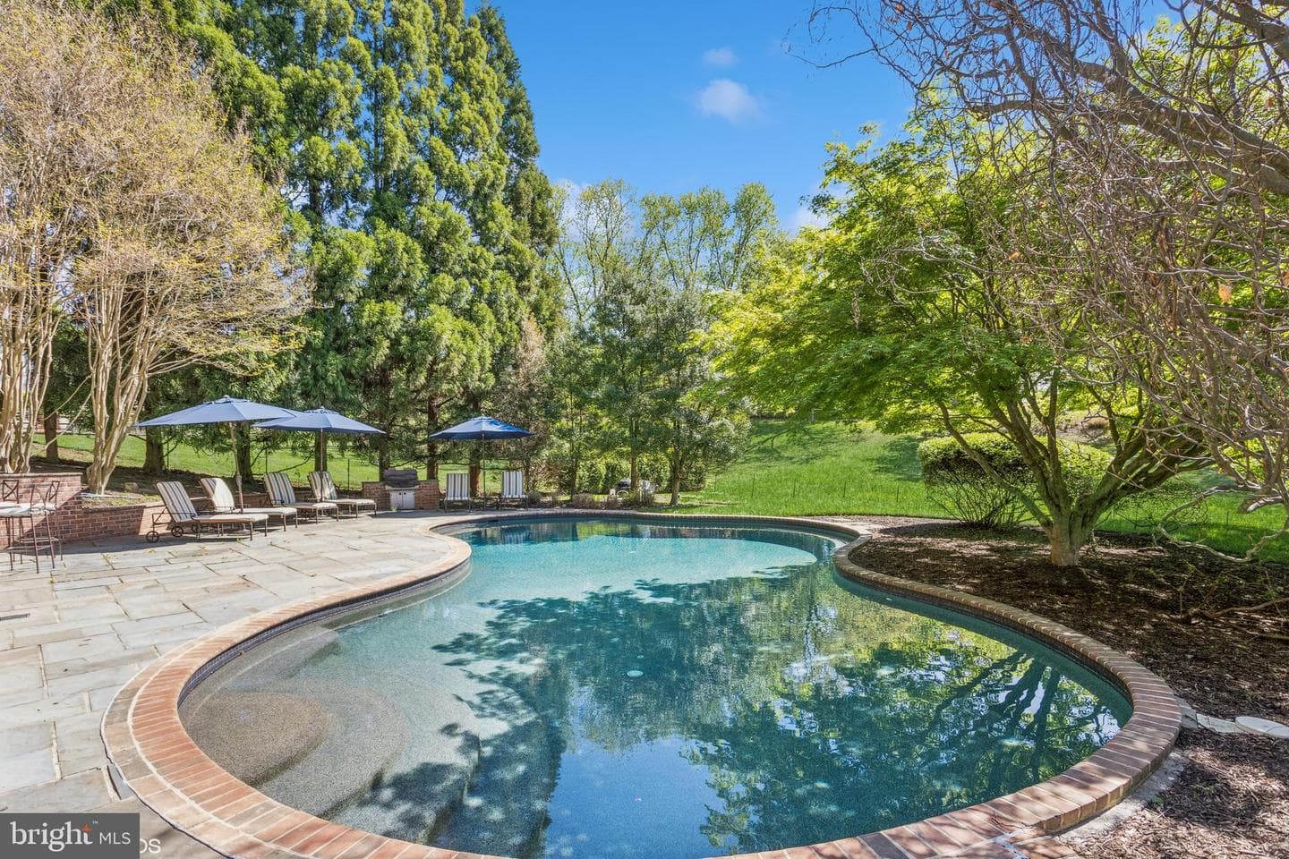 1308 Musgrove Road photo 53