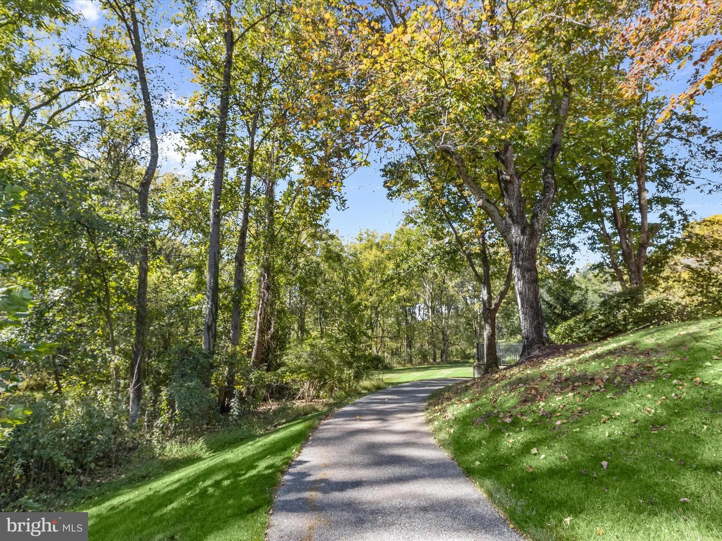 2331 Old Court Road #506 photo 46