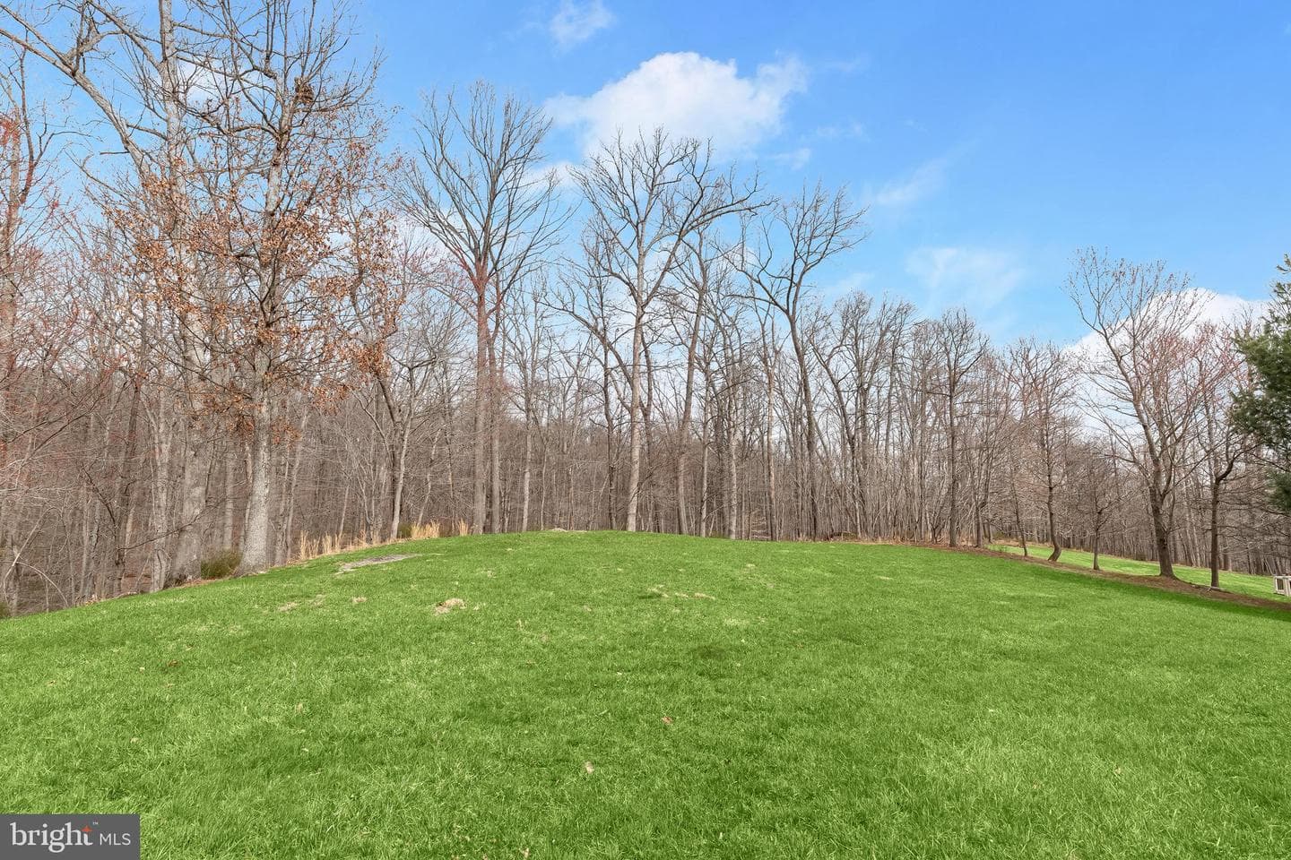 2312 Velvet Ridge Drive photo 45