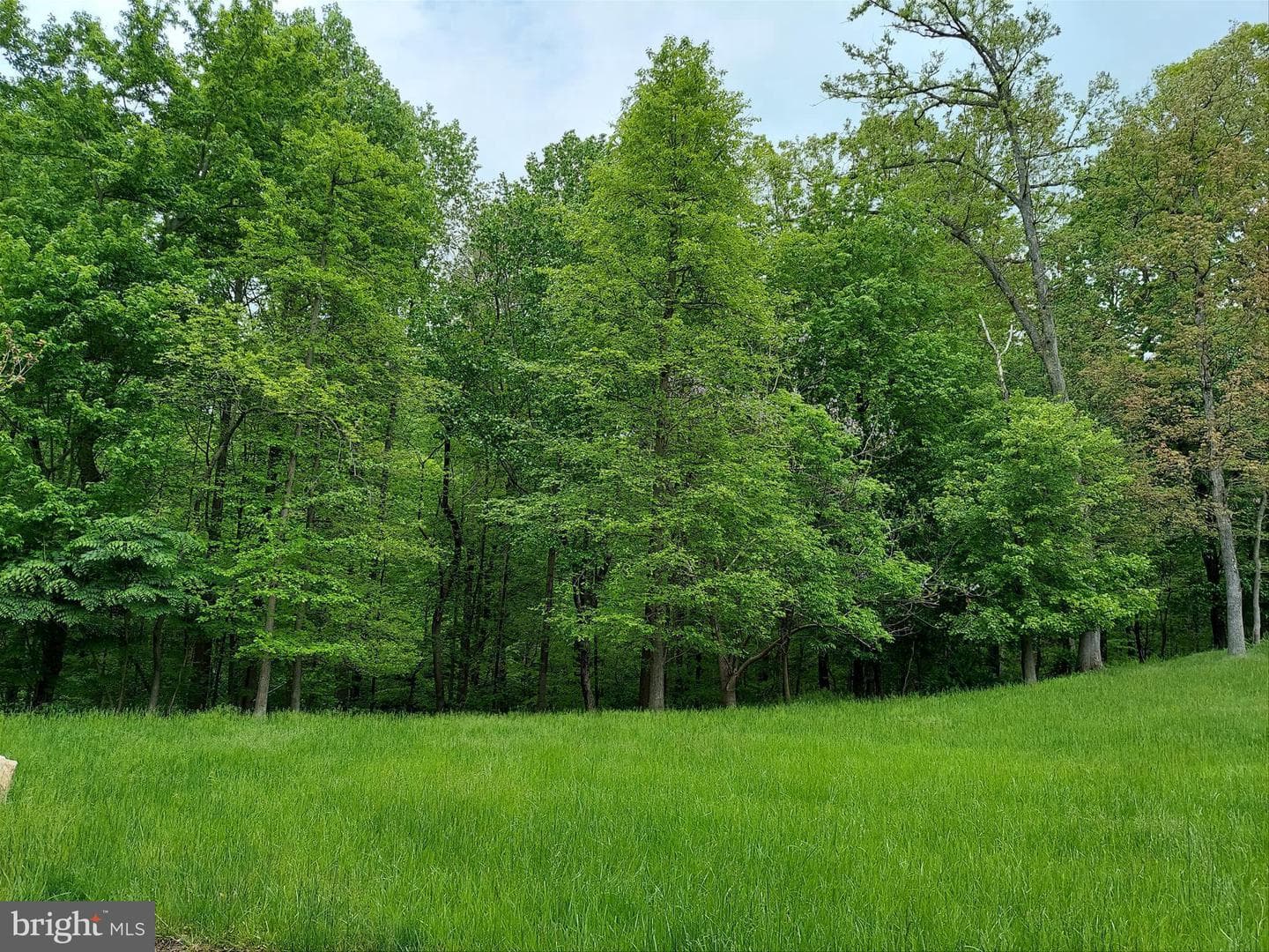 2312 Velvet Ridge Drive photo 51