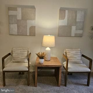 8707 Groffs Mill Drive #8707 photo 14