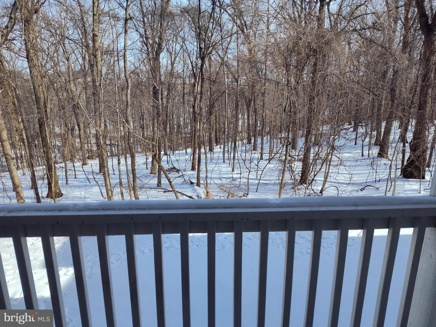 8707 Groffs Mill Drive #8707 photo 17