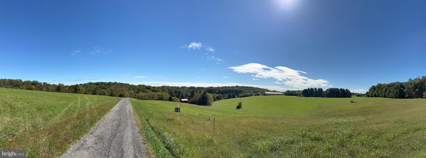 21049 Slab Bridge Road photo 7