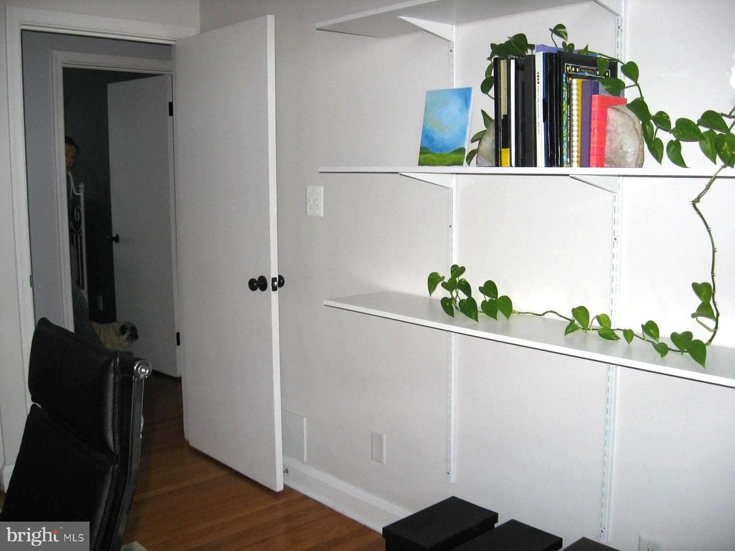 4 Wilfred Court photo 18