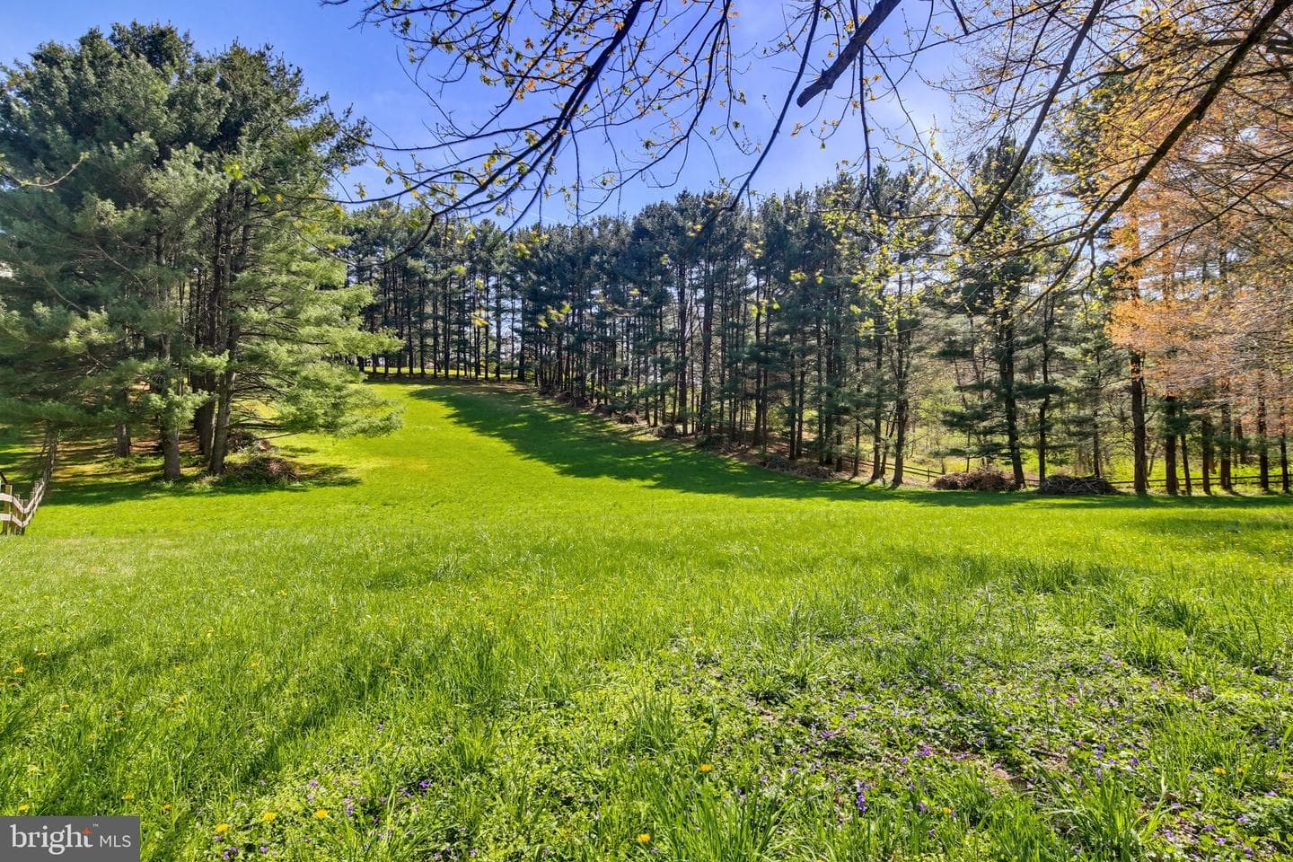 2701 Garrett Road photo 7