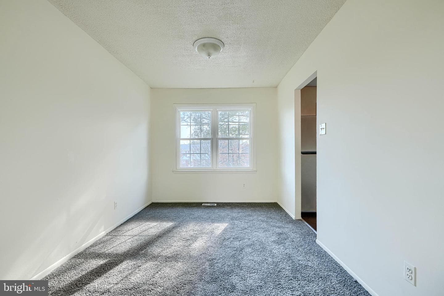 3 Slavin Court #2k photo 6
