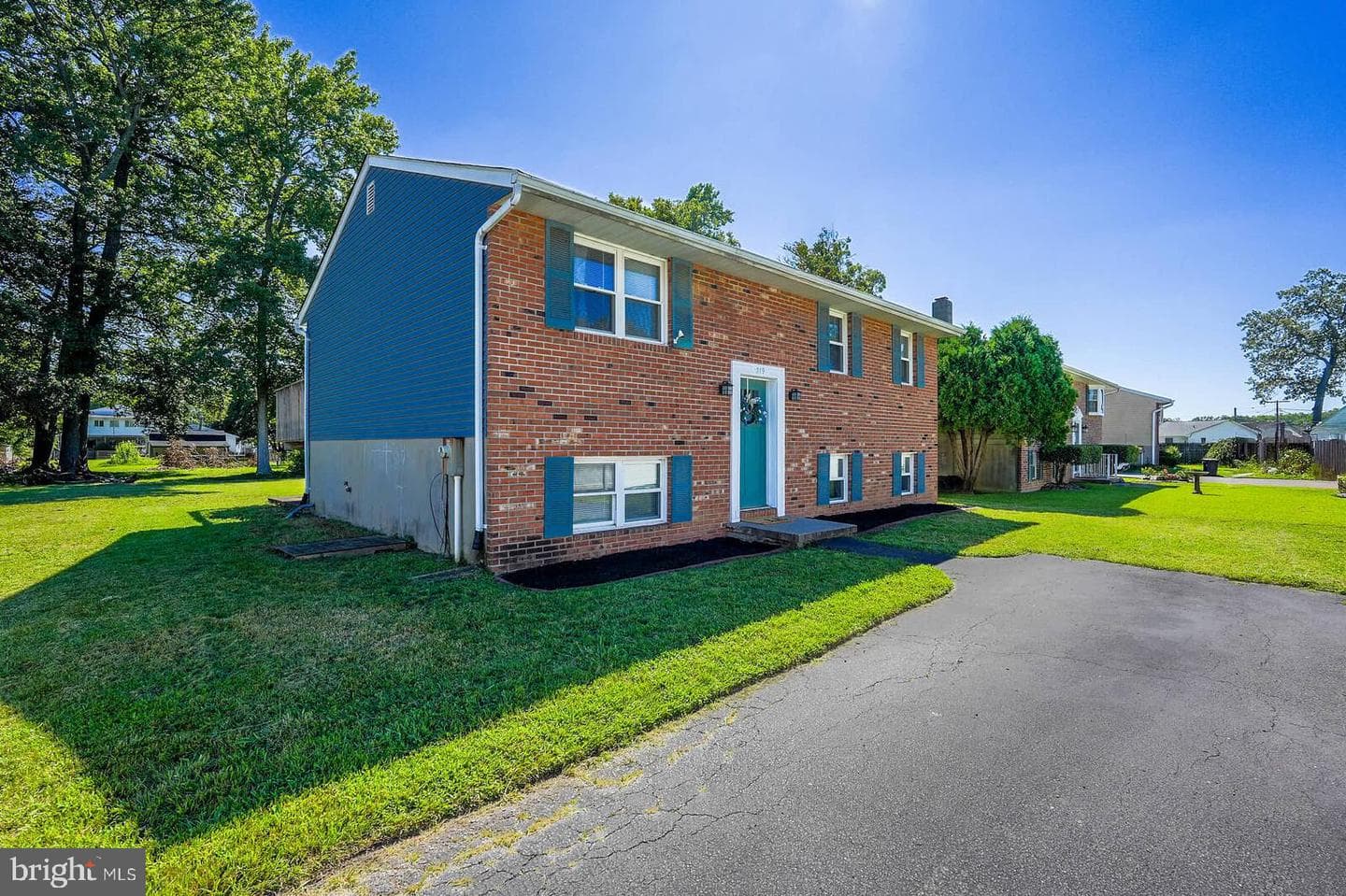 319 Sassafras Road photo 3