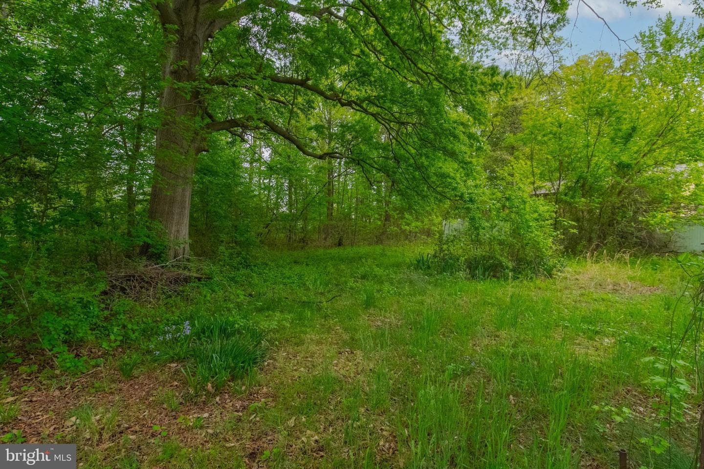 12709 Eastern Avenue photo 57