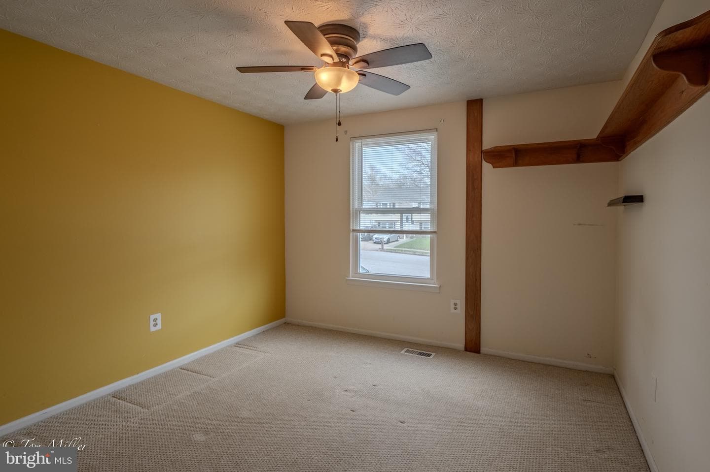 8802 Golden Tree Lane photo 15