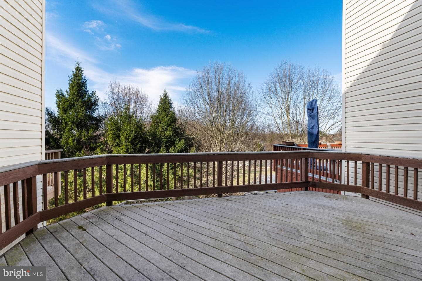 181 Carolstowne Road photo 21