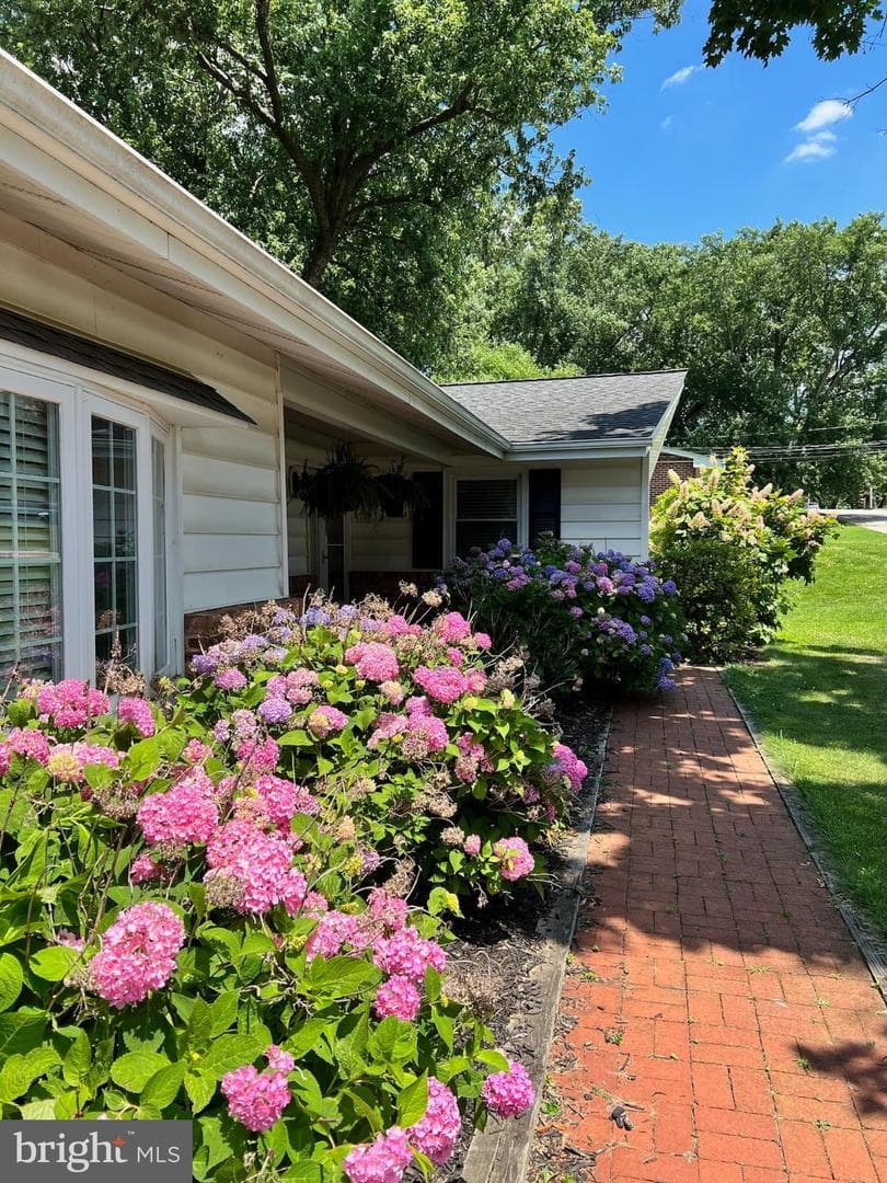 106 Gibbons Boulevard photo 6