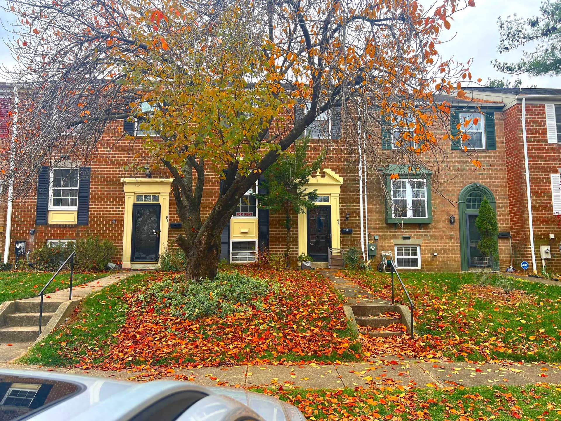 95 Blondell Court photo 19