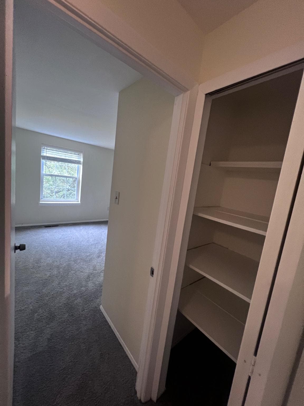 95 Blondell Court photo 44