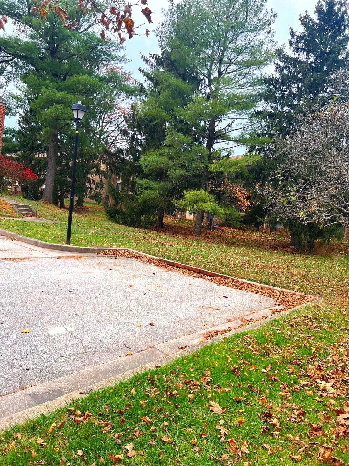 95 Blondell Court photo 55