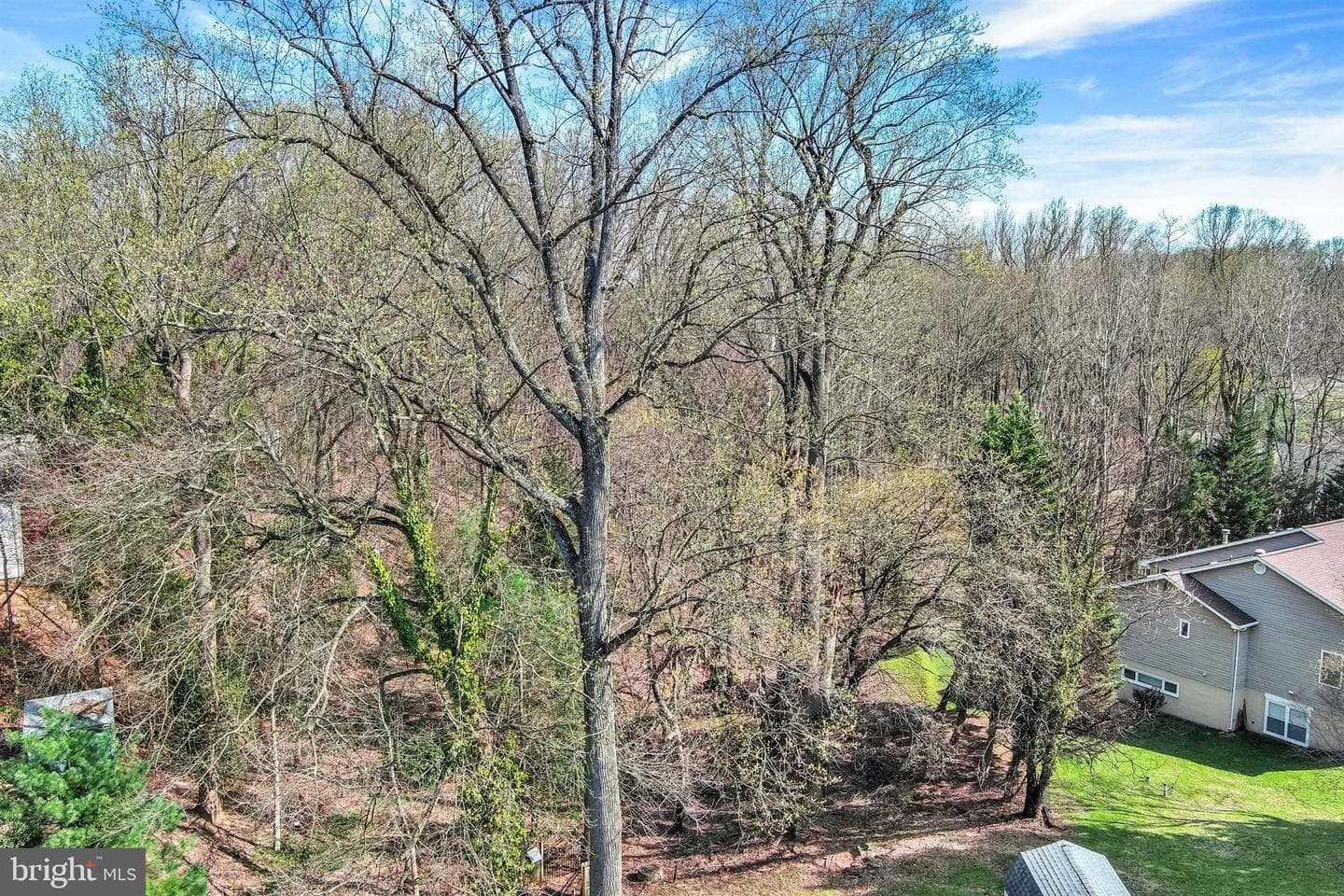 2926 Knoll Acres Drive photo 41