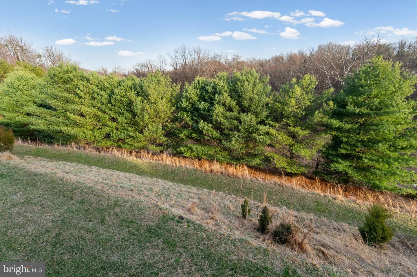 4223 Chastetree Court photo 20