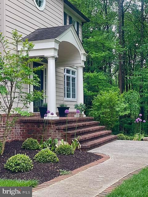 11 Hillsyde Court photo 26