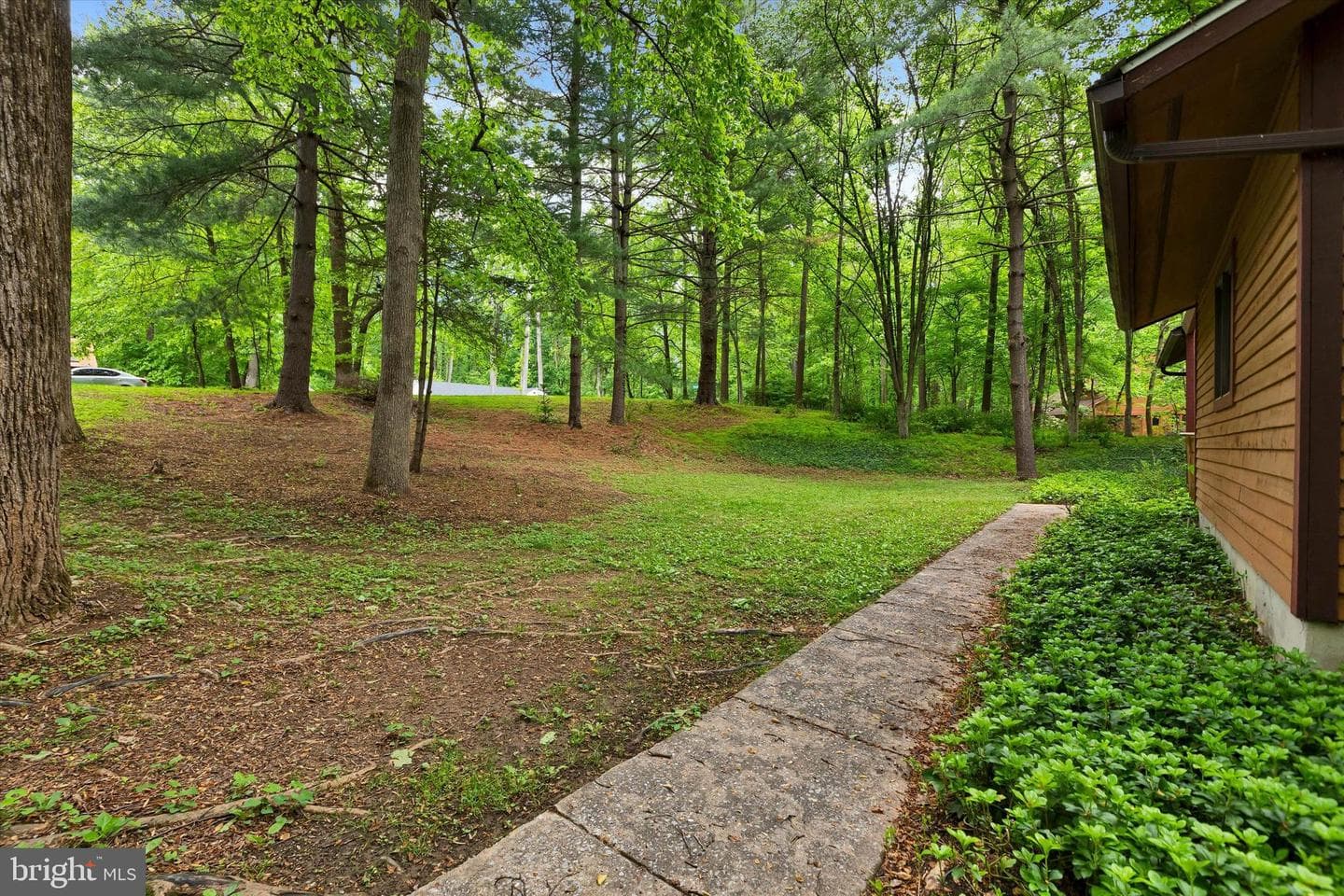 5 Timber Run Court photo 17