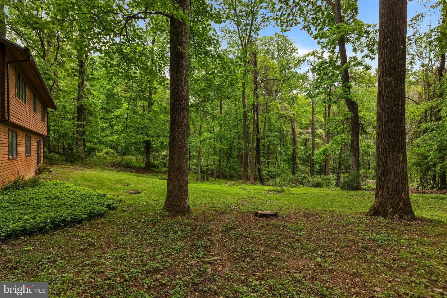 5 Timber Run Court photo 20