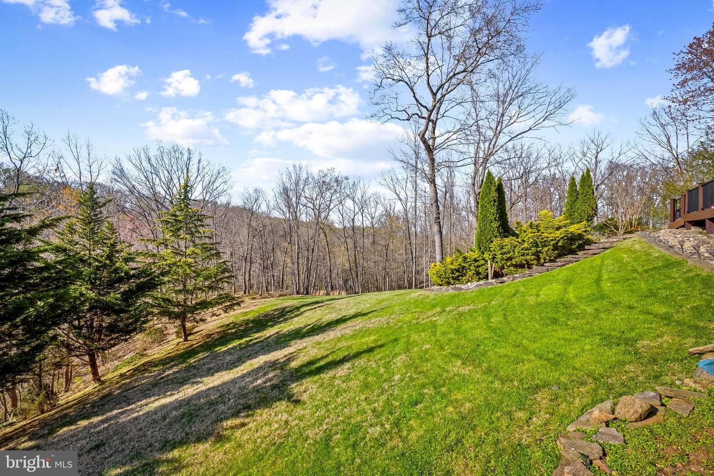13040 Jerome Jay Drive photo 55